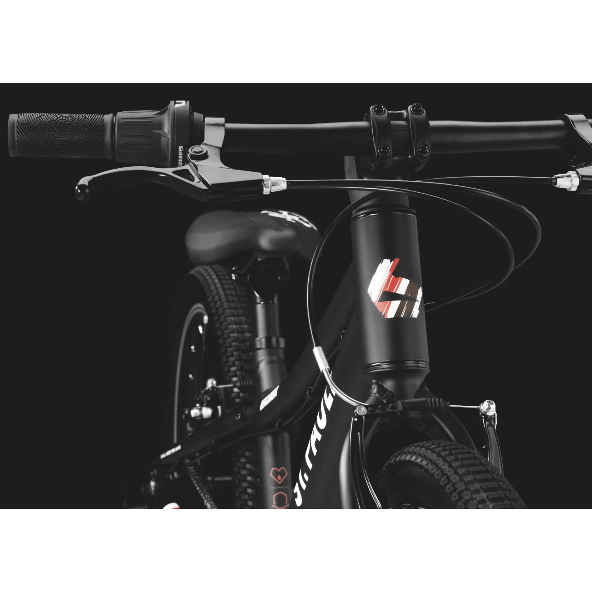 Bergamont Bergamonster St. Pauli 20" Wheel-Light Weight. (Red/White Stripes) click to zoom image